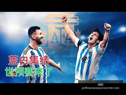年卡塔尔世,界杯倒计时,探寻不为人,开云官网,开云体育,开云全站,开云入口,开云代理